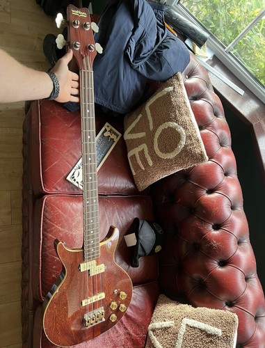 Washburn vulture bass - ii,