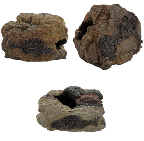 Betta fossil rock - betta, stone