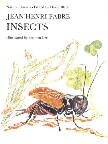 Insects by - insects,