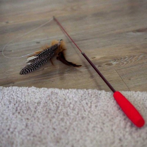 Zoon telescopic tickle stick - tickle,