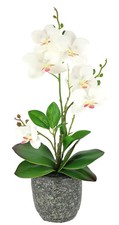 Artificial Flower Butterfly Orchid with Leaves and Air Roots in Pot Made of Cera