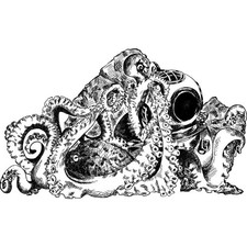 'Octopus & Diving Helmet'