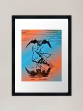 Juvenile heron, having a
