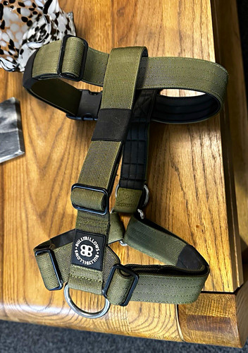 Large bullybillows - a,