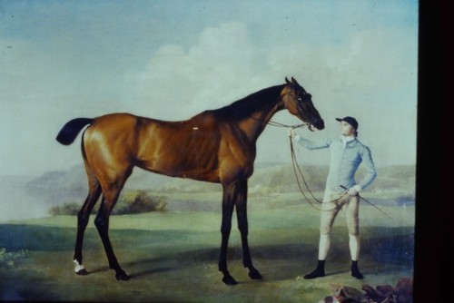 George stubbs molly longlegs - -,