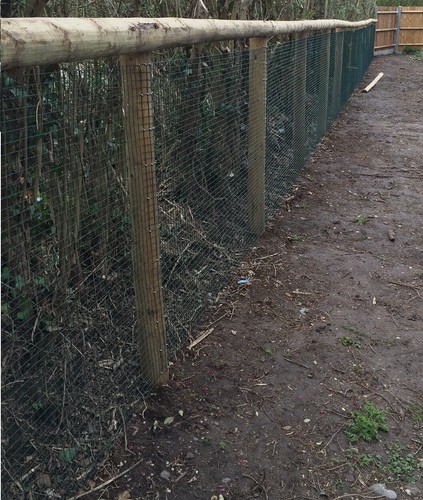 Pvc welded fence - 1', 1'