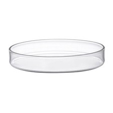 Eisco Labs Petri Dish, 80mm