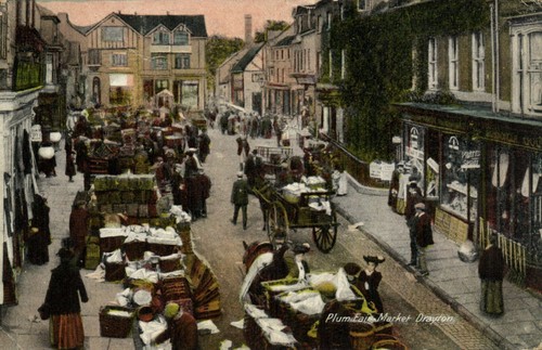 Plum fair market drayton - pc,