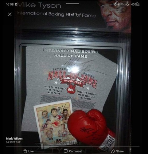 Mike tyson 2011 boxing - mike,