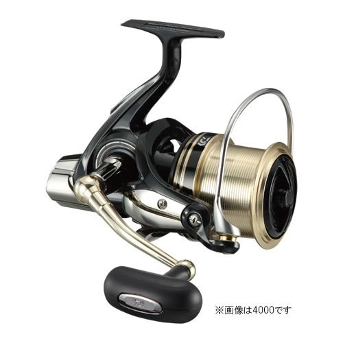 Daiwa spinning - reel, 17