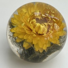 Vtg Hafod Grange Yellow Flower