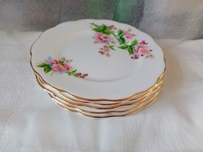 SET OF 6 Royal Albert Evesham