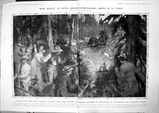 Print Wild Beasts After Dinner Entertainers Bears Feed Lake Louise 1912 Damaged