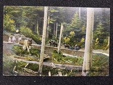 Cannon Bench Oregon OR Road To Seaside 1910 Elk Creek Stage Photo Postcard