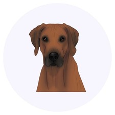 24 x 'Regal Rhodesian