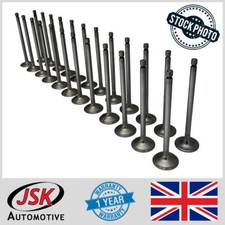 Set of 24 Head Valves Intake