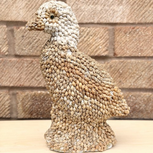 Vintage seashell bird coastel - seashell,