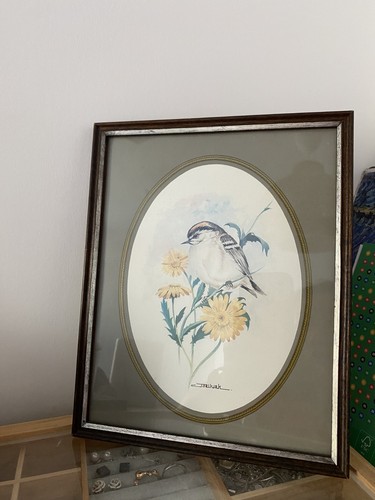 Vintage framed bird art - vintage,