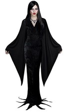 The Addams Family Morticia