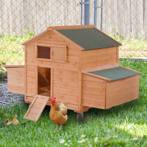 Ecolinear large chicken - chicken, coop