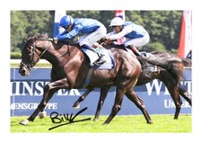 Rebels Romance Billy Loughnane Signed Autograph Photo Print Horse Racing