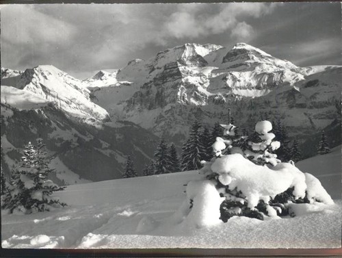 Lenk simmental betelberg - lenk,