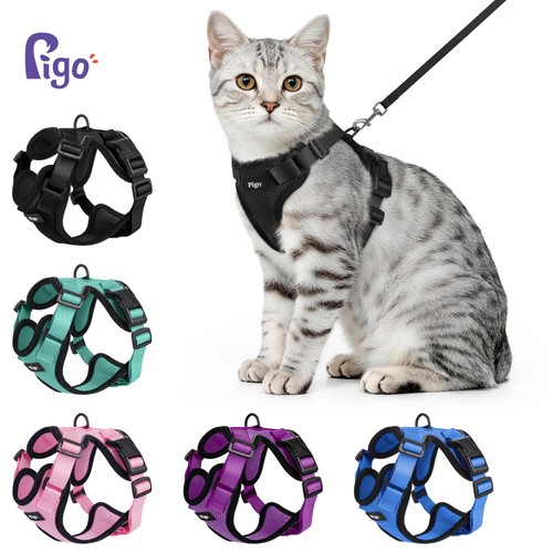 Pigo cat harness - harness, lead