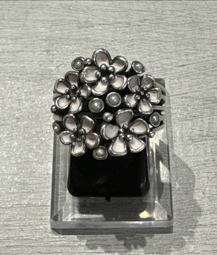 925 sterling silver pandora - silver,