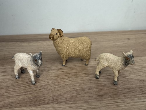 Lamb sheep ram bundle - lamb,