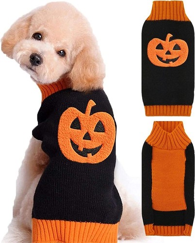 Dog sweater halloween pumpkin - sweater,