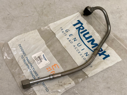 Genuine triumph america - america, efi