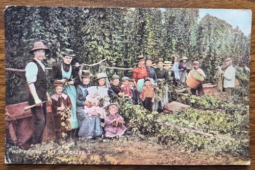 Hop picking 1906 colourised - hop,