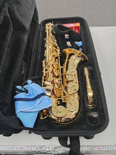 Eikhart deluxe alto saxophone - alto,