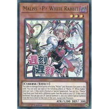 RA05-EN136 Maliss P White