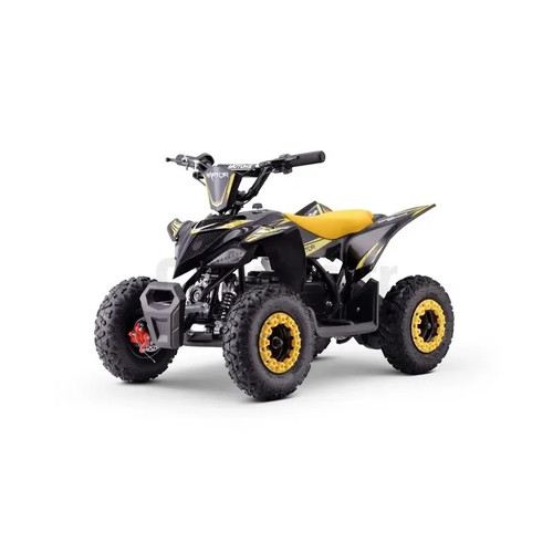 Mini electric quad for - mini,