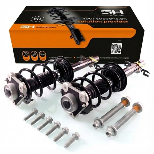 Gas complete struts - 2x,