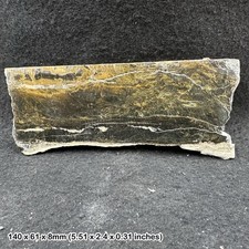 Opalised petrified fossil
