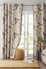 next Botanical Dandelion