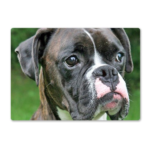 Metal wall sign dogs - sign,