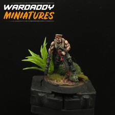 Pro Painted Warhammer 40k