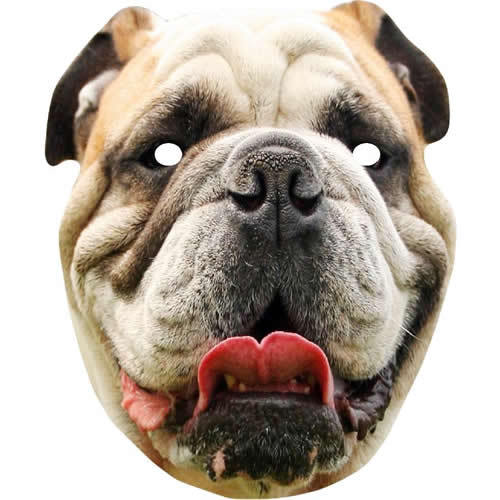 British bulldog animal - bulldog,