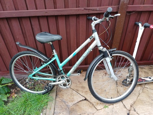 Lady bike - lady,