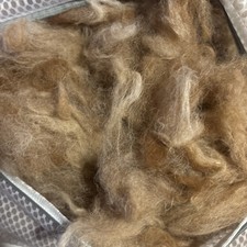 Pure Hand washed Alpaca