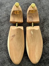 IMMACULATE CHURCH'S CEDAR