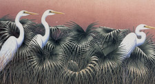 Egrets flora print signed - egrets,