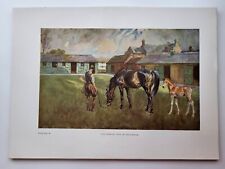 Old Vintage Colour Print Royal Newmarket 1945 Horse Racing Sun Chariot Foal