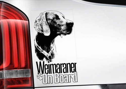 Weimaraner dog car - weimaraner,