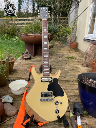 Reloved guitars 2018 double - reloved,