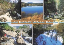 D285122 Around Betws y Coed Conwy Falls Llyn Elsi Fairy Glen J Salmon Ltd Seveno