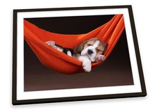 Cute Beagle Puppy Sleeping Red FRAMED ART PRINT Picture Poster Artwork